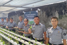 Dukung Ketahanan Pangan, Kalapas Sekayu Launching Budidaya Tanaman Hidroponik