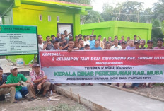 Dapat Bantuan, 2 Poktan di Dusun 6 Srigunung Ucapkan Terima Kasih ke Disbun Muba