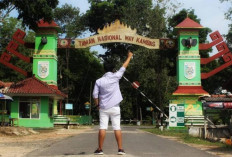 Rekomendasi Destinasi Liburan Sekolah yang Penuh Keindahan dan Aktivitas Seru