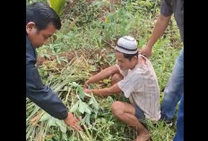 Residivis Pencurian Kembali Ditangkap, Gasak Mesin Pompa PDAM Lubuk Linggau