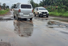 Banjir Langganan di Jalintim Sungai Lilin: Saluran Air Tersumbat Ancam Keselamatan Pengendara