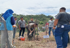 Desa Lesung Batu Jadi Tuan Rumah Hari Menanam Pohon Indonesia 2024