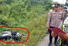 PNS Puskesmas di Muratara Meninggal Akibat Menabrak Kerbau di Jalinsum