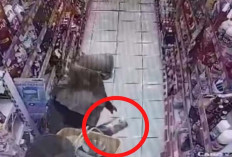 Dua Oknum Perempuan Lakukan Aksi Pencurian 2 Kaleng Susu di Minimarket 