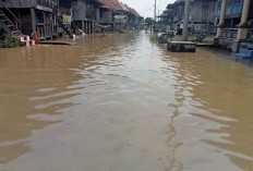 Banjir Datang, Warga Khawatir dengan Hewan Berbisa Masuk ke Pemukiman 