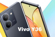 Vivo Y36: Layar Luas dengan Kualitas Gambar Jernih