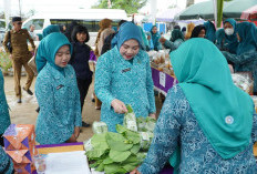 Lidyawati Cik Ujang Perkuat Kader PKK Banyuasin: Dasawisma Ditegaskan Garda Terdepan Penurunan Stunting