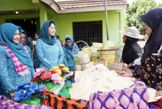 Pj Ketua TP PKK Sumsel Melza Elen Setiadi Dorong PKK Ogan Ilir Berperan Aktif  Dalam Pembangunan