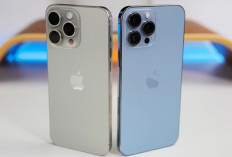 iPhone 13 Pro Max: Smartphone Terbaik untuk Konten Kreator Video Berkualitas Tinggi