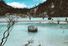 Kawah Putih Ciwidey, Daya Tarik Vulkanik yang Selalu Jadi Primadona Wisata