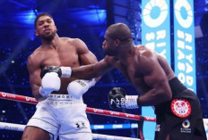 Anthony Joshua Bertekad Bangkit Usai Kekalahan dari Daniel Dubois