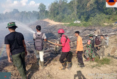 Respons Cepat Satgas Karhutla Muba Padamkan Api di Sungai Keruh