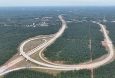 Akselerasi Mega Proyek Tol Betung–Jambi: Waktu Tempuh 6 Jam Jadi 2 Jam, Era Baru Konektivitas Sumatera Dimulai