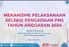 KepmenPANRB Hanya Menerbitkan Seleksi Pengadaan PNS 2024, PPPK 2024 Belum Ada Kejelasan