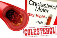 Waspada, Kolesterol Biang Penyakit Berbahaya Bagi Tubuh, Apa Iya?