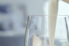 Susu Kambing: Alternatif Nutrisi yang Kaya dan Mudah Dicerna