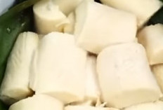 Tape Singkong: Kelezatan Fermentasi Tradisional Kaya Manfaat