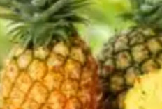 Manfaat Nanas Luar Biasa: Dari Pencernaan Lancar Hingga Jantung Sehat!