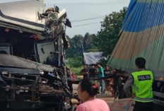 Lakalantas di Jalintim Tungkal Jaya, Bus SAN Tabrak Fuso Parkir, 2 Orang Meninggal Dunia