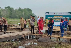 Bangun Taman Keanekaragaman Hayati di Komplek JSC 