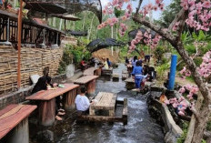 Tanaka Waterfall, Nuansa Negeri Sakura di Lereng Gunung Kawi yang Kian Diminati Wisatawan