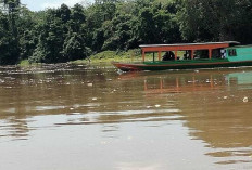 Curah Hujan Tinggi, Debit Air Sungai Musi Kembali Pasang