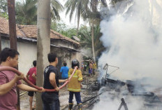 Rumah Warga di Simpang Bayat Bayung Lencir Terbakar, Diduga Akibat Korsleting Listrik