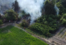 Kebakaran Lahan, Petugas BPBD Muba Terus Berjibaku Padamkan Api