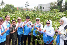 Pj Gubernur Sumsel Elen Setiadi Harapkan Kopi Ranau Dikenal Hingga ke Mancanegara