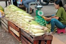 Permintaan Jagung di Pasar Kalangan Ngulak Meningkat Jelang Tahun Baru 2025  