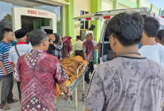 Cekcok Soal Uang Keamanan, Honorer PUPR Muratara Ditikam Rekan Sendiri