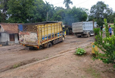 Truk Terjebak di Jalan Rusak, Jalan Sekayu - Keluang Sempat Terjadi Kemacetan