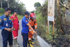 Gerak Cepat Damkar Pemkab Muba Padamkan Kobaran Api di Dua Tempat 