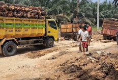 Jalan Talang Siku - Keluang Masih Rusak, Perbaikan Darurat Tak Banyak Membantu