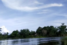 Pesona Tersembunyi Danau Merung Menarik Perhatian di Muratara