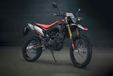 Tangguh di Segala Medan, Honda CRF 150 L Tetap Jadi Primadona Pecinta Motor Dual Purpose