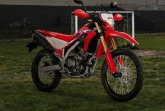 Tangguh di Segala Medan, Inilah Deretan Keunggulan Honda CRF250L yang Jadi Incaran Pecinta Off-Road