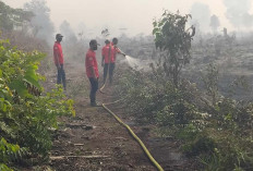 Waduh, 15 Hektar Lahan Gambut di Muara Medak Bayung Lencir Muba Terbakar 