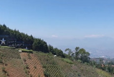 Menjelajahi Daya Tarik Bandung: Lebih dari Sekadar Kota Kembang