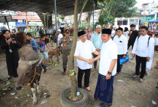 Pantau Langsung Prosesi Kurban Usai Shalat Jumat dan Open House Iduladha