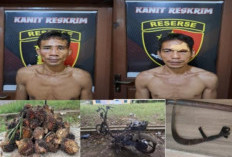 Kepergok Warga , Dua Pencuri Buah Kelapa Sawit Diserahkan ke Polsek Babat Supat