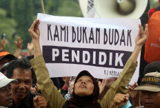 Waduh, Jelang Pendaftaran PPPK 2024 dan CPNS, Muncul Beragam Isu Panas