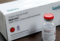 Natal dan Tahun Baru 2024,Usulkan Permintaan 4000 Vaksin Inavax ke Kementrian 