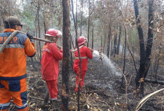 Selama 4 Hari Tim Karhutla Berjibaku Padamkan Kebakaran Lahan di Desa Rambai Pangkalan Lampam OKI