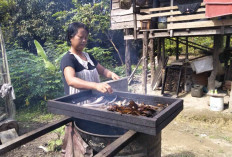 Tangkapan Ikan Berkurang, Produksi Ikan Salai Menurun