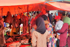 Permintaan Reda Usai Lebaran, Harga Daging Sapi di Sanga Desa Kembali Stabil