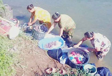 Kemarau, Sumur Kering, Warga Mulai ke Sungai Lakukan Cuci Pakaian 