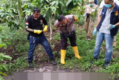 Mayat Pria Ditemukan Terikat di Kebun Kopi Muara Payang, Diduga Korban Pembunuhan