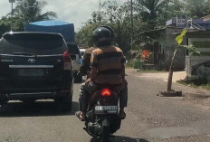 Berpotensi Sebabkan Kecelakaan Lalulintas, Warga Desa Tanjung Durian Tanam Pohon Pisang di Jalinteng 