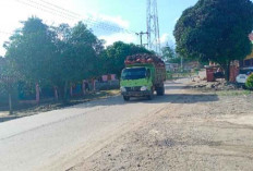 Bahaya, Truk Sawit Tanpa Jaring Sering Melintas di Jalinteng Sanga Desa